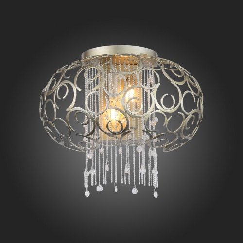 Накладной светильник ST-Luce Dolcima SL1101.201.02 в Нижнем Новгороде фото 5