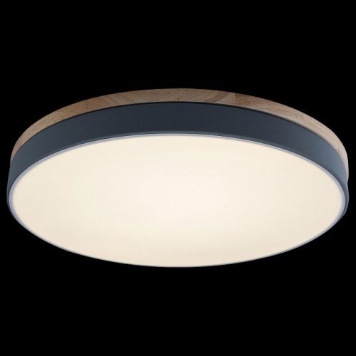 Накладной светильник Loft it Axel 10001/36 Grey в Нижнем Новгороде фото 4