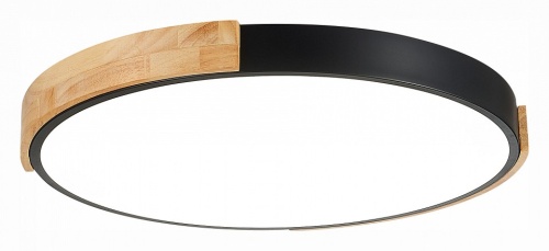 Накладной светильник EVOLUCE Delia SLE201342-01 в Нижнем Новгороде фото 2