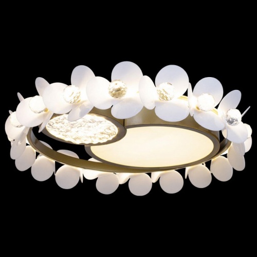 Накладной светильник Loft it Bride 10173 в Нижнем Новгороде фото 3