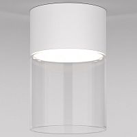 Накладной светильник Elektrostandard Lumen a064710 в Нижнем Новгороде