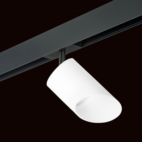 Светильник на штанге Lightstar Rullo PRO348686 в Нижнем Новгороде фото 4