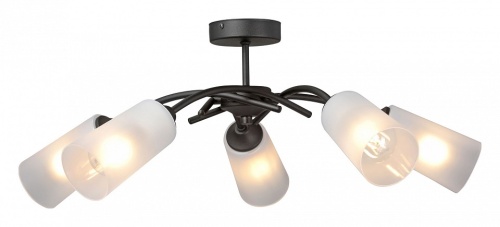 Люстра на штанге Vitaluce V2850 V2850-1/5PL в Нижнем Новгороде