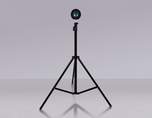 Настольная лампа декоративная Ambrella Light DE DE8387 в Нижнем Новгороде фото 5