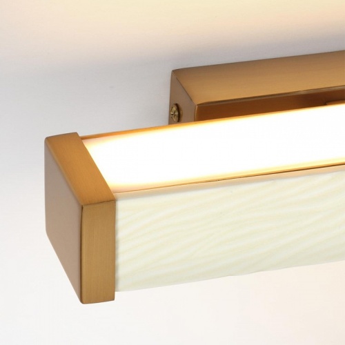 Накладной светильник Odeon Light Riviera 5450/10WL в Нижнем Новгороде фото 2