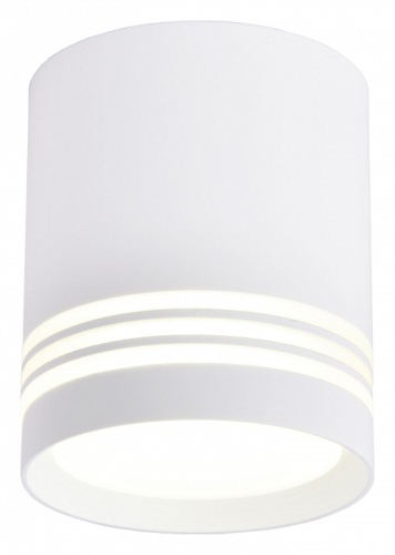 Накладной светильник Favourite Darar 3065-1C в Кропоткине фото 6
