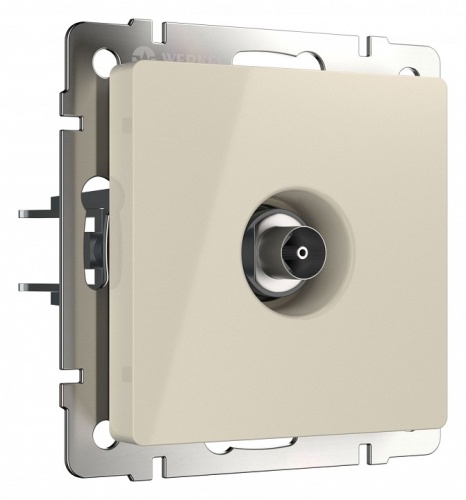 ТВ-розетка без рамки Werkel слоновая кость W1183003 в Нижнем Новгороде