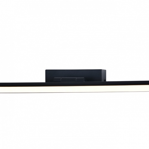 Подсветка для картины Escada 170001 170001/A/1W  Black в Нижнем Новгороде фото 2