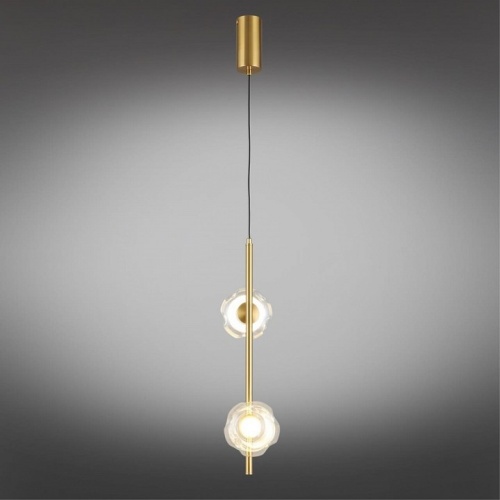 Подвесной светильник Aployt Tereze APL.074.06.02 в Нижнем Новгороде фото 15