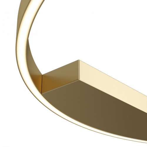 Накладной светильник Maytoni Rim MOD058CL-L50BSK в Нижнем Новгороде фото 2