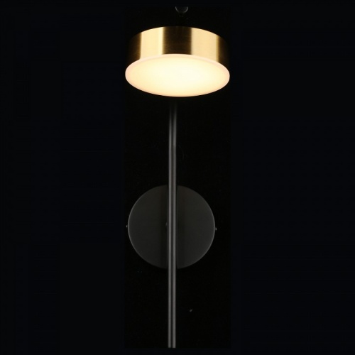 Бра Aployt Delayn APL.042.01.07 в Нижнем Новгороде фото 9