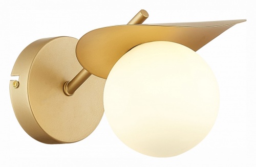 Бра EVOLUCE Bolzano SLE220501-01 в Нижнем Новгороде фото 2