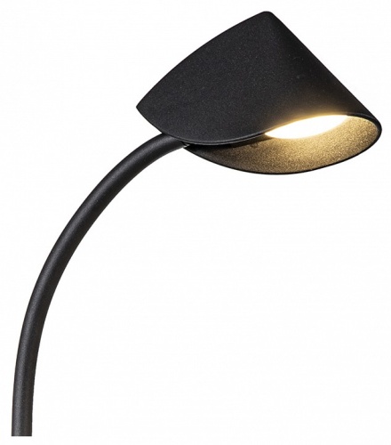 Настольная лампа офисная Mantra Capuccina 7587 в Нижнем Новгороде фото 3