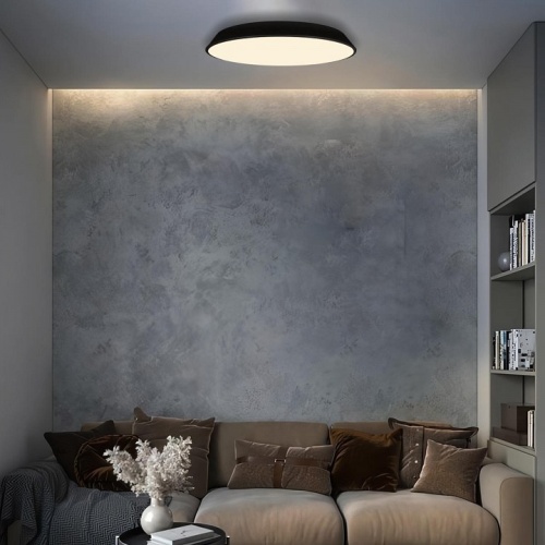 Накладной светильник Loft it Brim 10226 Black в Нижнем Новгороде фото 2