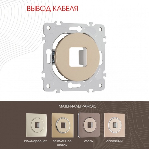 Розетка для вывод кабеля без рамки Arte Milano am-202 202.49-1.shampan в Нижнем Новгороде фото 7