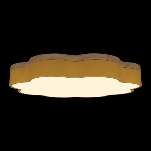 Накладной светильник Loft it Axel 10225/36 Yellow в Нижнем Новгороде фото 4