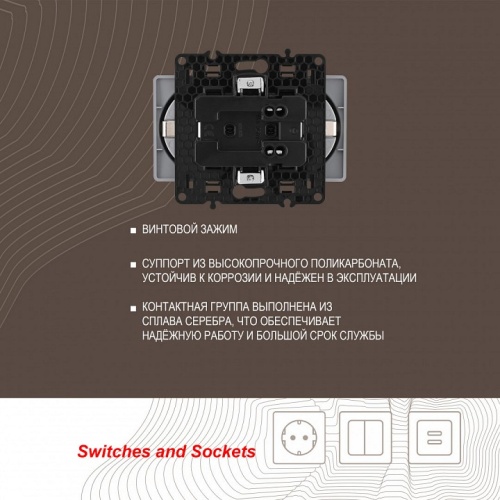 Розетка двойная с заземлением, без рамки Arte Milano am-217 217.40-2.silver в Нижнем Новгороде фото 2