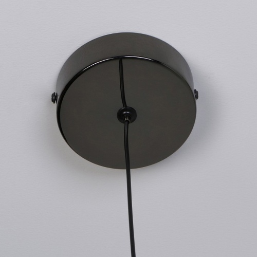 Подвесной светильник Favourite Luna 4369-1P в Ермолино фото 7