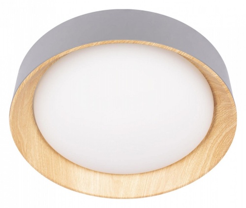 Накладной светильник Loft it Coin 10202 Grey в Нижнем Новгороде фото 6