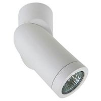 Накладной светильник Lightstar Illumo 051016-IP65 в Ермолино