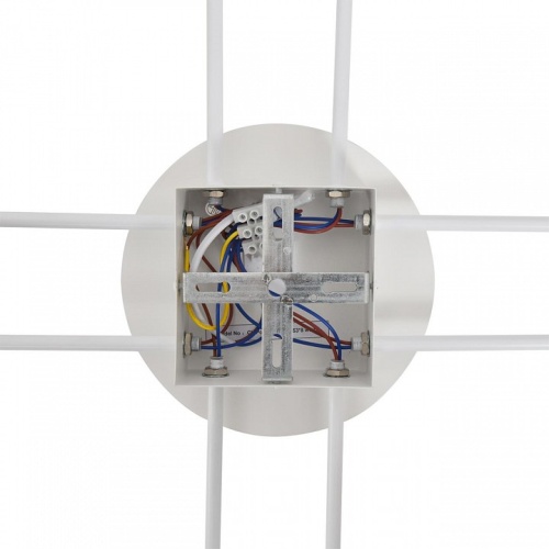 Потолочная люстра Lumion BENUA 8305/8C в Нижнем Новгороде фото 6