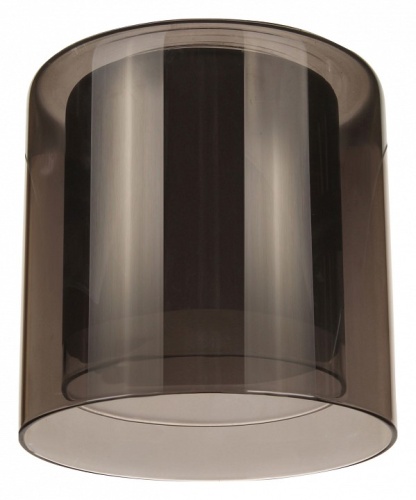 Плафон стеклянный 33 идеи S.25 S.25.GR в Нижнем Новгороде фото 4