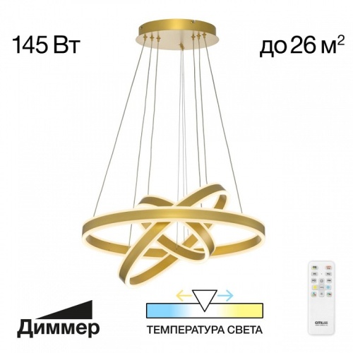 Подвесной светильник Citilux Дуэт CL719652 в Нижнем Новгороде фото 2