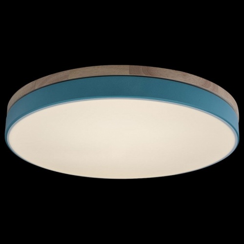 Накладной светильник Loft it Axel 10001/36 Blue в Нижнем Новгороде фото 5