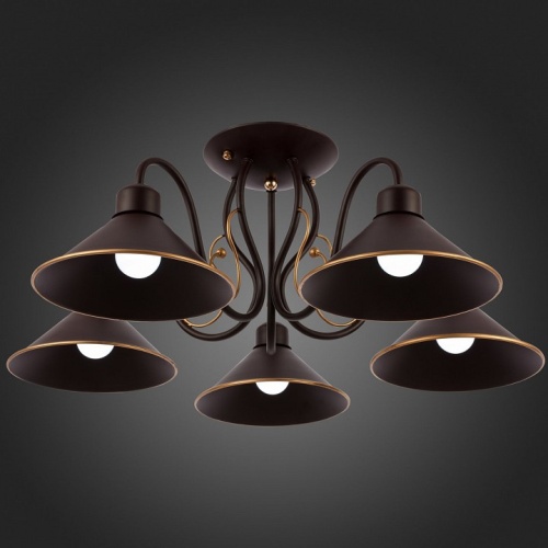 Люстра на штанге EVOLUCE Ciolla SLE120402-05 в Нижнем Новгороде фото 5