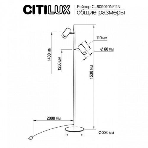 Торшер Citilux Twin CL809010N в Кропоткине фото 3