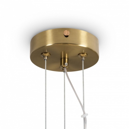 Подвесной светильник Freya Pareo FR5590PL-01BS1 в Нижнем Новгороде фото 2