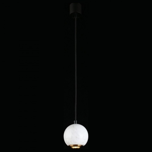 Подвесной светильник Aployt Gerda APL.619.16.01 в Ермолино фото 6