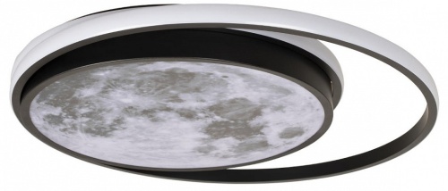 Накладной светильник Loft it Luna 10217 в Заполярном фото 6