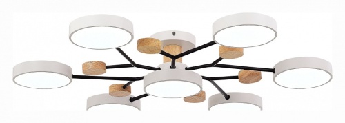 Потолочная люстра EVOLUCE Faema SLE6006-502-07 в Нижнем Новгороде фото 2