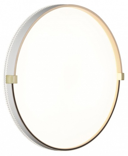 Накладной светильник Sonex Olidi White 7646/DLN в Нижнем Новгороде фото 3