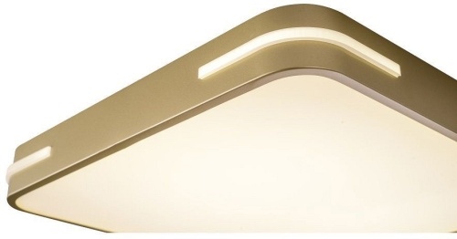 Накладной светильник Zortes Gabby ZRS.1215.03 в Нижнем Новгороде фото 2