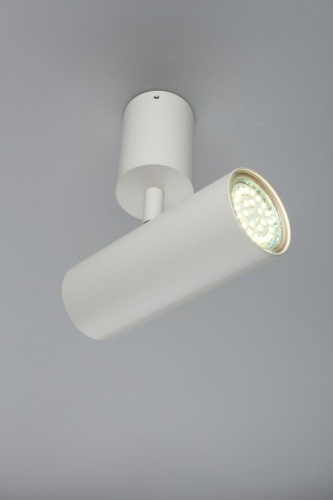 Спот Aployt Berenis APL.007.02.01 в Нижнем Новгороде фото 3