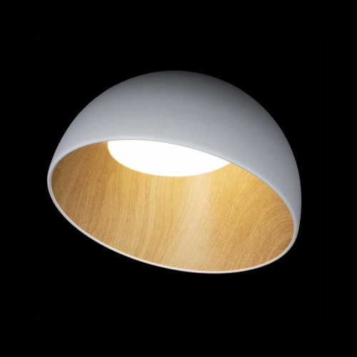 Накладной светильник Loft it Egg 10197/350 White в Заполярном фото 5