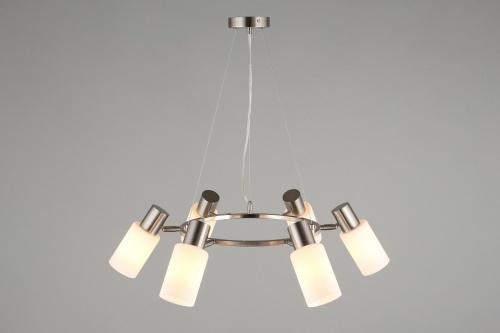 Подвесная люстра Omnilux Ales OML-69113-06 в Нижнем Новгороде фото 6