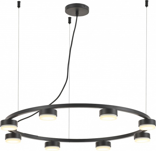 Подвесная люстра Rivoli Leontina Б0066438 в Нижнем Новгороде фото 3