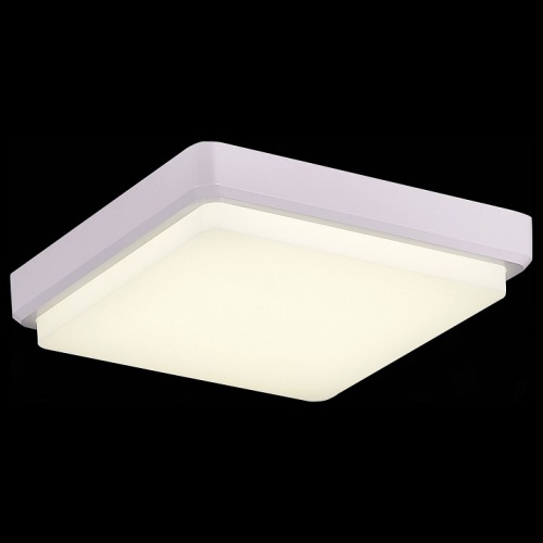 Накладной светильник EVOLUCE Taddio SLE200212-01 в Нижнем Новгороде фото 7