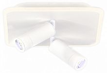 Накладной светильник Escada  20024SMA/01LED WH в Нижнем Новгороде