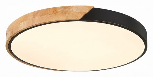 Накладной светильник EVOLUCE Festa SLE200942-01 в Нижнем Новгороде фото 5