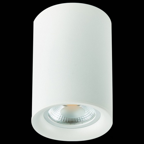 Накладной светильник ST-Luce ST114 ST114.507.01 в Нижнем Новгороде фото 2