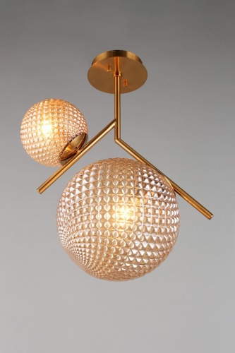 Светильник на штанге Aployt Marzena APL.300.17.02 в Нижнем Новгороде фото 5