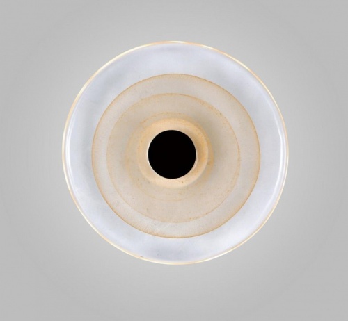 Накладной светильник Aployt Stusia APL.350.01.03 в Нижнем Новгороде