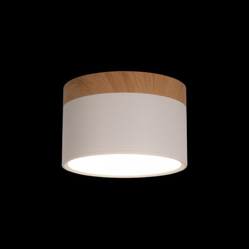 Накладной светильник Loft it Grape 10162 White в Нижнем Новгороде фото 2