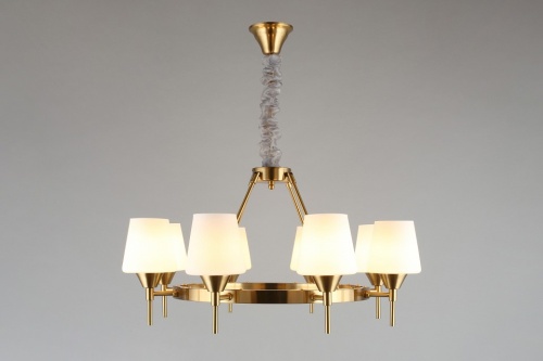 Подвесная люстра Aployt Lyus APL.840.03.08 в Нижнем Новгороде фото 7