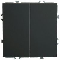 Переключатель двухклавишный без рамки Stekker Эмили 49843 в Нижнем Новгороде