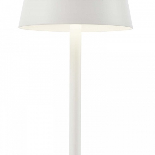 Настольная лампа декоративная F-promo Pyari 4614-1T в Нижнем Новгороде фото 3